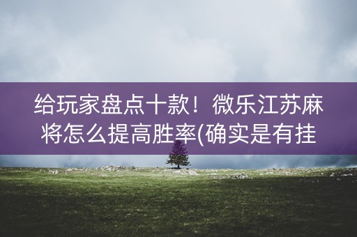 给玩家盘点十款！微乐江苏麻将怎么提高胜率(确实是有挂的)