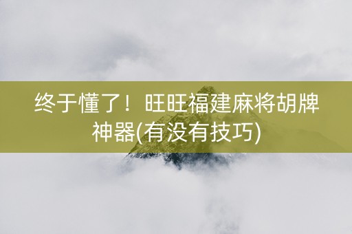 终于懂了！旺旺福建麻将胡牌神器(有没有技巧)