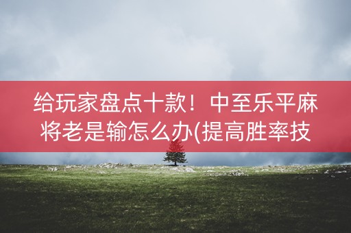 给玩家盘点十款！中至乐平麻将老是输怎么办(提高胜率技巧)