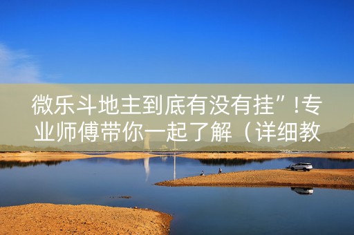 微乐斗地主到底有没有挂”!专业师傅带你一起了解（详细教程）-知乎
