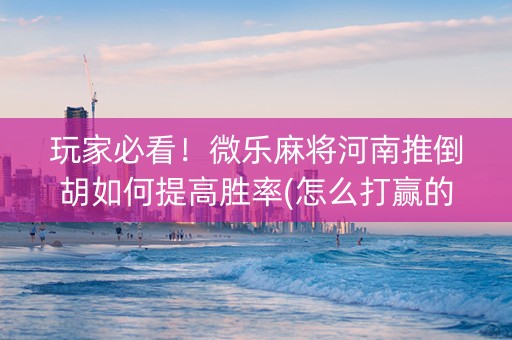 玩家必看！微乐麻将河南推倒胡如何提高胜率(怎么打赢的几率大)