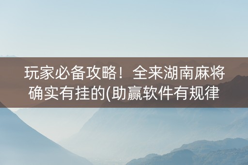 玩家必备攻略！全来湖南麻将确实有挂的(助赢软件有规律吗)