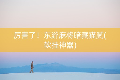 厉害了！东游麻将暗藏猫腻(软挂神器)