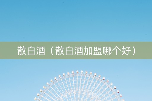 散白酒（散白酒加盟哪个好）