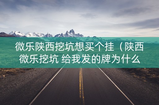 微乐陕西挖坑想买个挂（陕西微乐挖坑 给我发的牌为什么这么差）