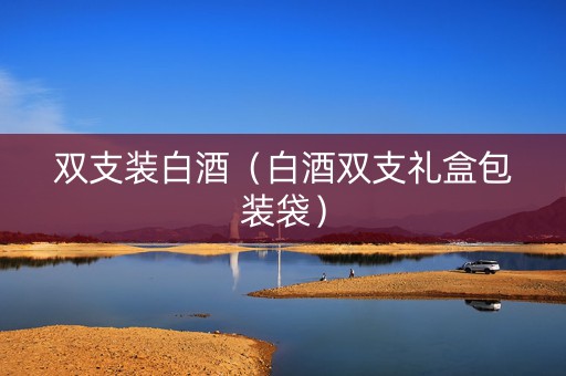 双支装白酒（白酒双支礼盒包装袋）