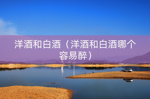 洋酒和白酒（洋酒和白酒哪个容易醉）