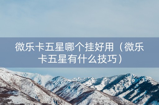 微乐卡五星哪个挂好用（微乐卡五星有什么技巧）